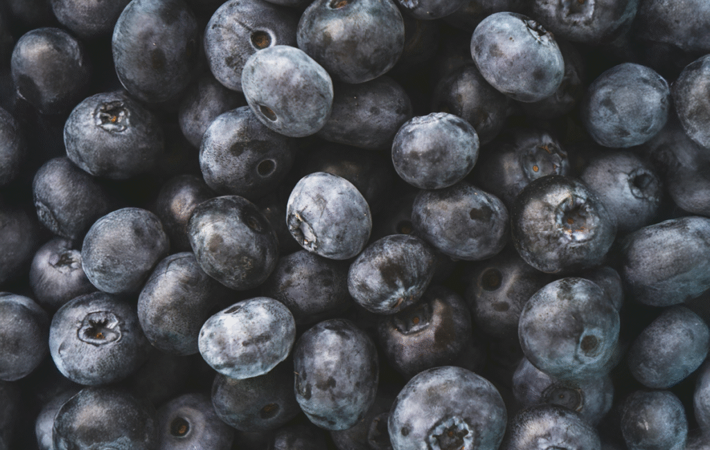 Close-up-of-blueberries-with-leaves-