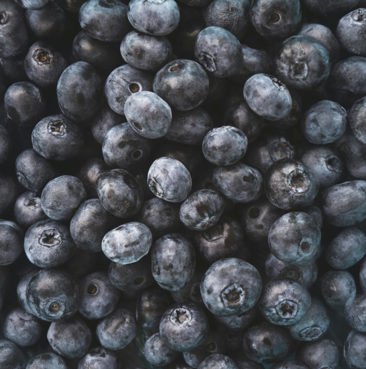 Close-up-of-blueberries-with-leaves-