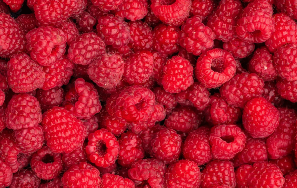 Fresh-Raspberries-bg-19