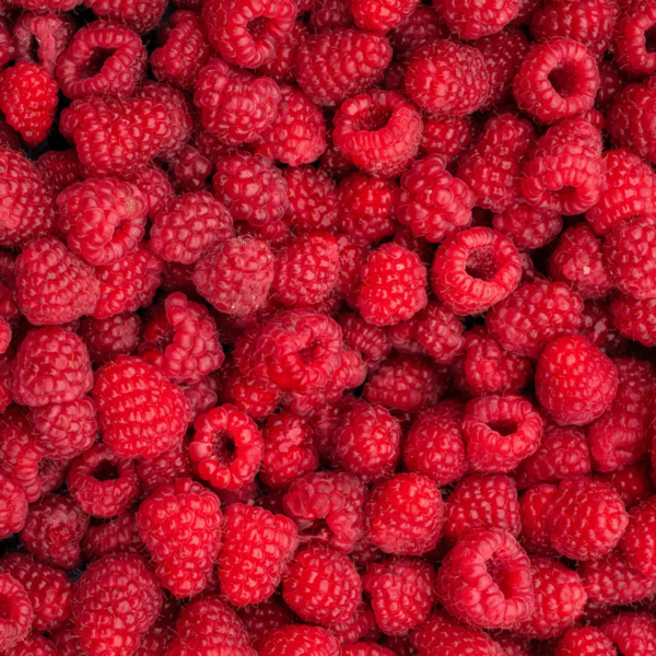 Fresh-Raspberries-bg-19
