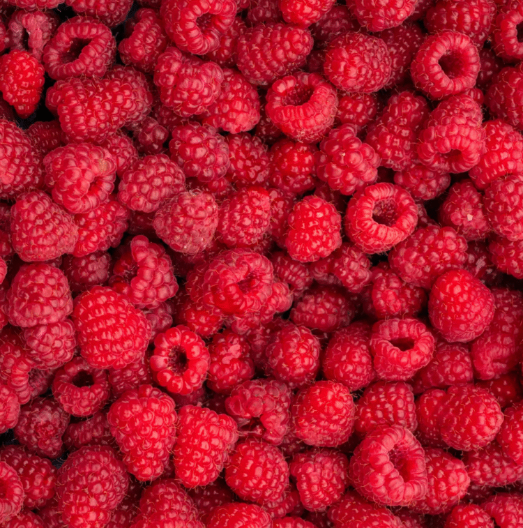 Fresh-Raspberries-bg-19