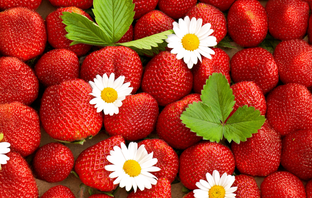Fresh-strawberries-with-daisy-flowers-