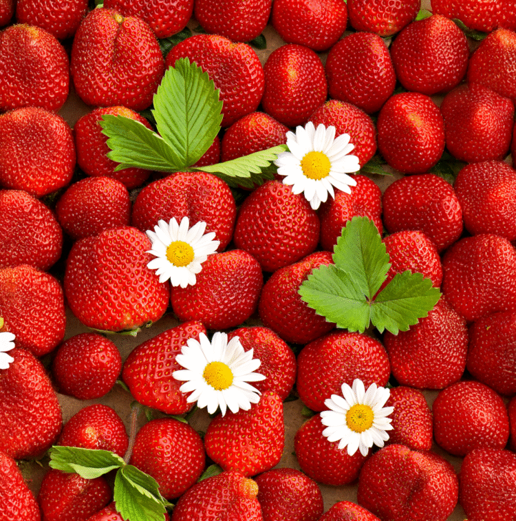 Fresh-strawberries-with-daisy-flowers-