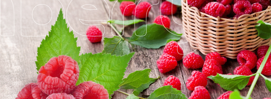 iberry-v2post-img-2-min