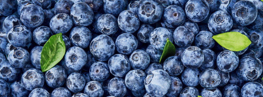 iberry-v3-post-img-2-min