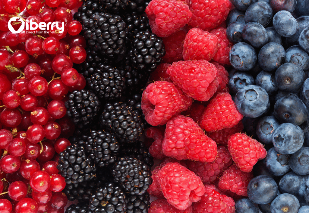 iberry-v5post-img-2-min