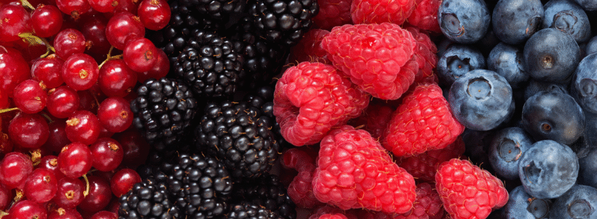 iberry-v5post-img-2-min