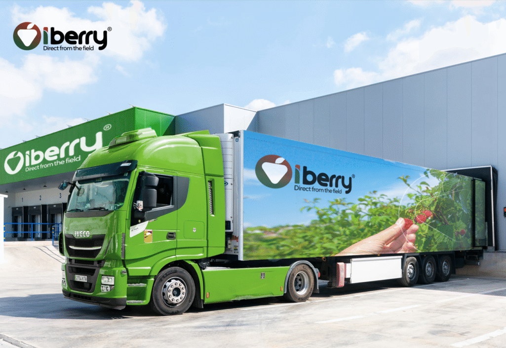 iberry-v7-post-img-2-min