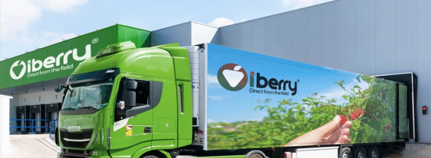 iberry-v7-post-img-2-min