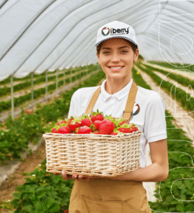 iberry-ab-img-2