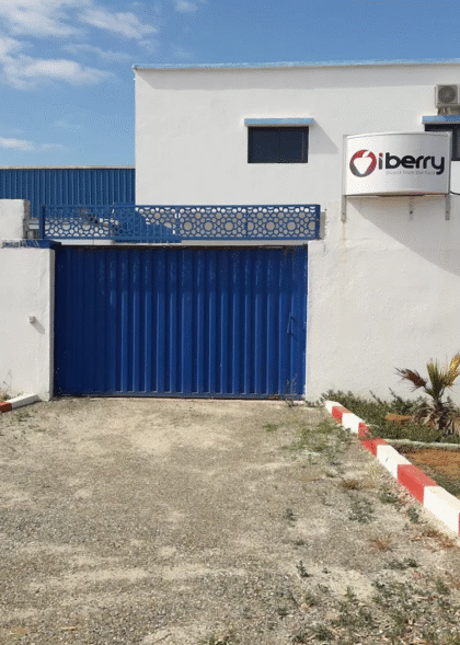 iberryab-img-2